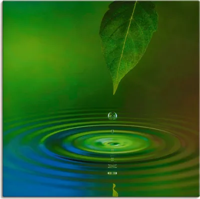 Produktbild von ARTland Leinwandbild Wassertropfen Größe: 100x100 cm