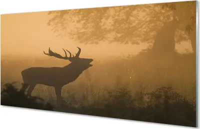 Produktbild von Glasbilder 100x50 Wandkunst Deer Sonnenaufgang