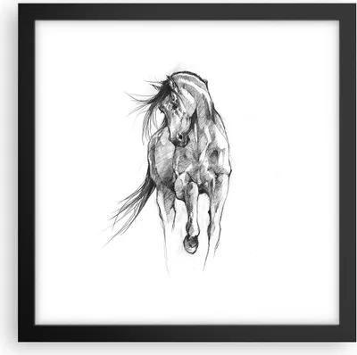 Produktbild von Gerahmtes Poster - Schwarzer Rahmen - Pferd Galopp Tier - 30x30 cm - Wand Bild - Wanddeko - Wandbilder - Kunstposter - Wandposter - Bilderrahmen - Bilder - Kunstdruck - P2BAC30x30-5080