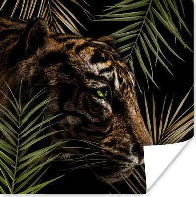 Produktbild von MuchoWow® Poster Tiger - Farn - Blätter 100x100 cm - Babyzimmer