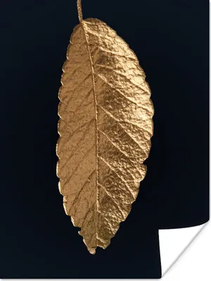 Produktbild von MuchoWow® Poster Blätter - Schwarz - Gold - Luxus - Natur 90x120 cm - Wohnzimmer