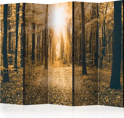 Produktbild von Akusticher Raumteiler Wald Foto Paravent 225x172 cm beidseitig auf Vlies-Leinwand bedruckt Akustikschaum Trennwand Spanische Wand Sichtschutz Home Office Bäume Natur Botanik Sonne c-B-0076-z-c