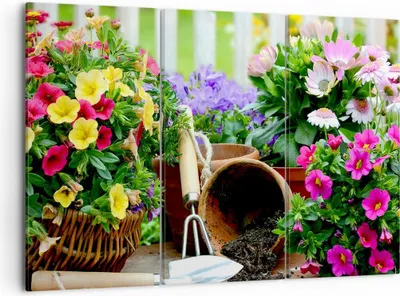 Produktbild von Bild auf Leinwand - Leinwandbild - Pflanzen Garten Frühling Natur - 105x70cm - Wand Bild - Wanddeko - Leinwanddruck - Bilder - Kunstdruck - Wanddekoration - Leinwand bilder - Wandkunst - CE105x70-2682