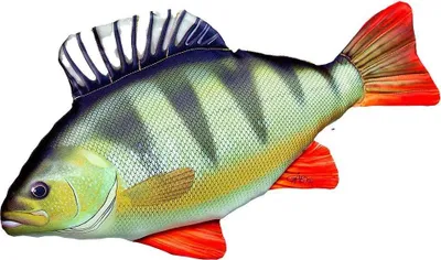 Produktbild von Gaby Kissen Barsch 51 cm