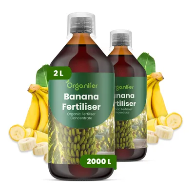 Obrázek produktu pro Banán Tekuté Hnojivo 2x1 L – 2-1-8 NPK – Pro Ovocné Rostliny – Pro Silné Banány & Zdravé Listy – Podporuje Kořeny & Vitalitu – Organifer