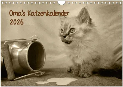 Produktbild von Oma's Katzenkalender 2026 (Wandkalender 2026 DIN A4 quer), CALVENDO Monatskalender