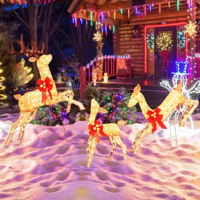 Produktbild von Beleuchtetes Weihnachts-Rentier-Set, 3-teilig, 255 warmweiße Lichter