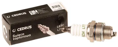 Zdjęcie produktu dla Świeca zapłonowa Cedrus L6TC/L7TC NAC 10 szt. w opakowaniu CEDSW008