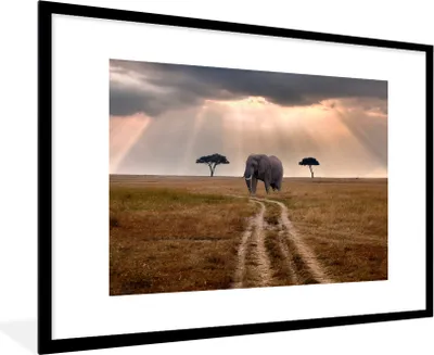 Produktbild von MuchoWow® MuchoWow® Gerahmtes Poster Elefant - Tiere - Wiese - Sonne 90x60 cm - Poster mit zchwarzem Bilderrahmen - Wanddekoration - Fotos