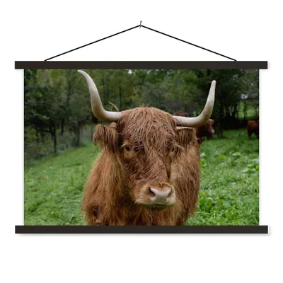 Produktbild von MuchoWow® Textilposter Schottische Highlander - Tiere - Gras 150x100 cm mit schwarzem Rahmen - Schlafzimmer