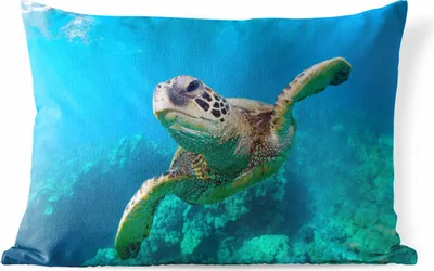 Produktbild von MuchoWow® Outdoor Kissen - Meeresschildkrötenschwimmen auf Hawaii - 60x40 cm - Wetterfest - Lounge Kissen - Zierkissen - Kissen für Innenräume