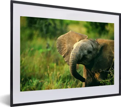 Produktbild von MuchoWow® MuchoWow® Gerahmtes Poster Elefant - Grün - Tiere - Natur 60x40 cm - Poster mit zchwarzem Bilderrahmen - Schlafzimmer - Plakat in Rahmen - Drucken