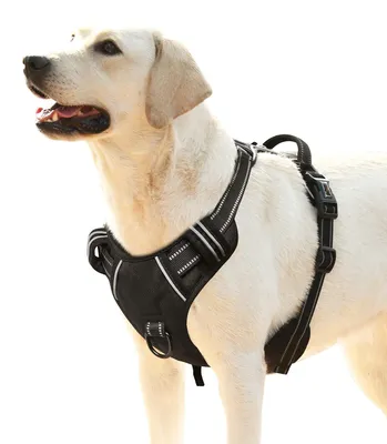 Image de Harnais pour chiens de grande taille, réglable et réfléchissant, noir, taille L
