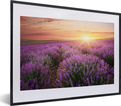 Produktbild von MuchoWow® Gerahmtes Poster Lavendel - Sonne - Blumen 40x30 cm - Poster mit Schwarzem Bilderrahmen Wandposter Rahmen Foto Bilder - Bilderrahmen - Poster im Rahmen