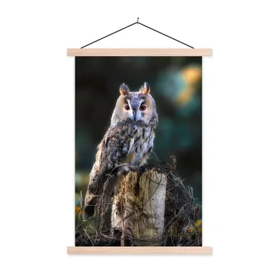 Produktbild von MuchoWow® Textilposter Eule - Herbst - Vogel - Äste 40x60 cm mit holzfarbenen Rahmen - Poster
