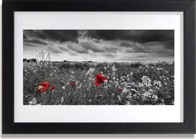 Produktbild von Bild 30x20 MDF-Rahmen Wandkunst Blumen Wiese Landschaft