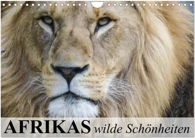 Produktbild von Afrikas wilde Schönheiten (Wandkalender 2026 DIN A4 quer), CALVENDO Monatskalender