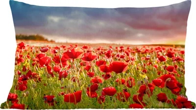 Produktbild von MuchoWow® Zierkissen Sofakissen Wohnzimmer Dekokissen 60x40 cm Sonnenuntergang über einem Feld von Mohnblumen - Kopfkissen - Polster mit Foto