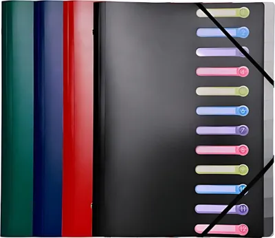 Image de Exacompta Chemise à élastique et 3 rabats A4 couleurs assorties