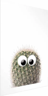 Produktbild von Posterpapier Poster - Cactus with Eyes 40x60 cm Blätter b-A-0398-ao-a