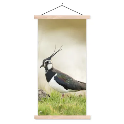 Produktbild von MuchoWow® Textilposter Vogel - Gras - Tiere - Natur - Kiebitz 60x120 cm mit holzfarbenen Rahmen - Holz