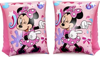 Image de Manches gonflables Disney Minnie