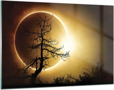 Produktbild von Bilder auf glas - Einteilig - Sonnenfinsternis die Sonne Baum - 120x80cm - Glasbilder - Wandbilder - Bilder - Wanddekoration aus Glas - Glas Bilder - Wandbild auf Glas - GAA120x80-4349