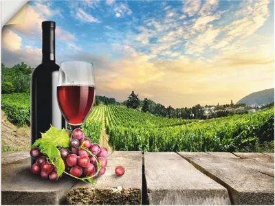 Produktbild von ARTland Wandbild, selbstklebend Wein vor Weinbergen Größe: 60x45 cm