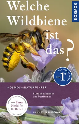 Produktbild von Welche Wildbiene ist das?