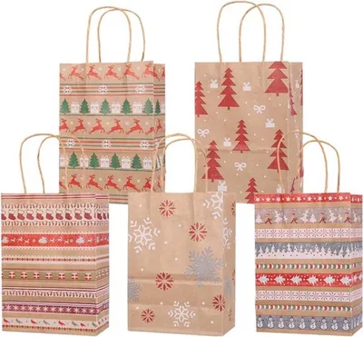Geschenktüten aus Papier, 25 Stück in 5 Stilen, mit Griffen für Geschenkverpackungen und festliche Anlässe
