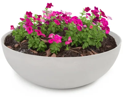 Image de Jardinière ronde ventrue de 25 cm pour l'extérieur, marbrée gris clair