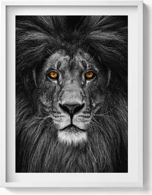 Produktbild von Schwarzer und weißer Löwenkopf– Wandbild mit Rahmen – Gerahmtes Bild  – Wanddekoration – 60x80 cm –  Weiß Rahmen