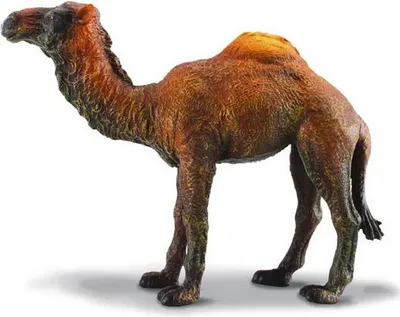 Produktbild von Collecta - Dromedar -L- 88208 (90188208) COLECTA