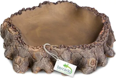 Image de Terrario Bol à racines - Miska do Terrária 16x16x4 cm Terrario