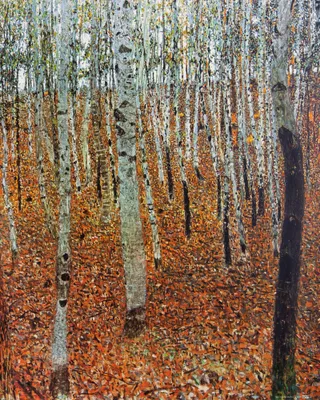 Produktbild von Gustav Klimt Kunstdruck Bild - Birkenwald, 1903 (50 x 40 cm)