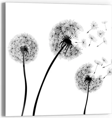 Produktbild von DEQORI Magnettafel Glas 50x50 cm 'Schwarze Pusteblumen' beschreibbar Whiteboard