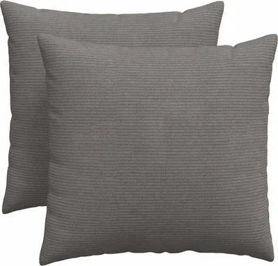 Image de vidaXL Coussins de canapé 2 pièces gris clair 50 x 50 cm tissu velours côtelé