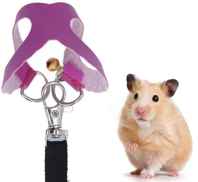 Image de Harnais pour hamster en nylon avec jeu de sangles