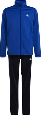 Produktbild von adidas Essentials Big Logo Trainingsanzug Kinder AETC - selubl/white 164