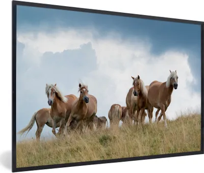 Produktbild von MuchoWow® Gerahmtes Poster Haflinger Pferde 90x60 cm - Poster mit Schwarzem Bilderrahmen Wandposter Rahmen Foto Bilder - Fotorahmen - Foto-Plakat
