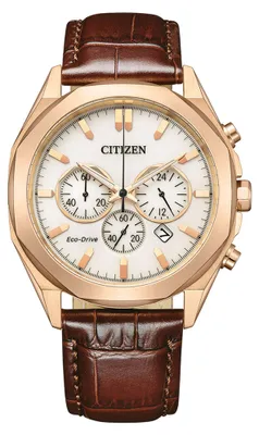 Obrázek produktu pro Pánské hodinky - Řada: Citizen Sports - Citizen model: CA4593-15A