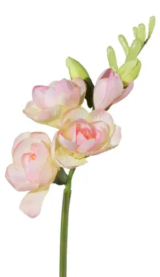 Produktbild von Kunstblume FREESIE ca 50cm. Freesien, Schwertlilie. ROSA
