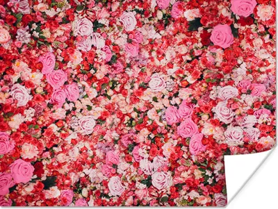 Produktbild von MuchoWow® Poster Blumen - Farben - Rosen 160x120 cm - Foto Plakat
