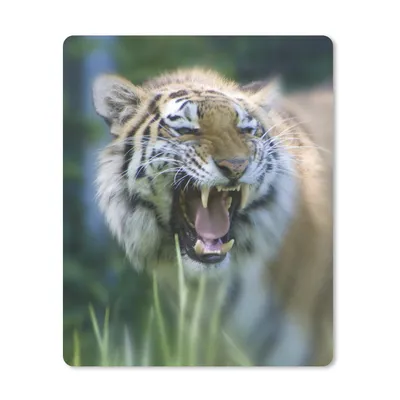 Produktbild von MuchoWow® Mauspad Mousepad Tiger - Dschungel - Kopf 30x40 cm - Mousepads - Maus Mat - Pad - Mausunterlage - Mausmatten
