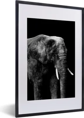 Produktbild von MuchoWow® Gerahmtes Poster Elefant vor schwarzem Hintergrund - schwarz und weiß 40x60 cm - Poster mit Schwarzem Bilderrahmen Wandposter Rahmen Foto Bilder - Poster in Rahmen