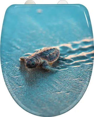 A baby sea turtle is walking on a sandy beach with waves gently washing over it.
