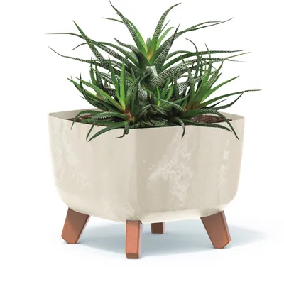 Obrázok produktu pre Kvetináč na nožičkách Kvetináč 39x27 cm Krémový plastový bridlicový štvorcový s vložkou Betónový vzhľad Kvetináče Money Tree Kaktusy Gumovník