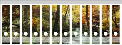 Produktbild von Wallario Ordnerrücken Sticker, selbstklebend für breite Ordner, 12 Stück, Motiv Wasserfall mit moosbedeckten Steinen im Herbstwald
