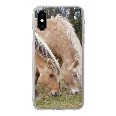Produktbild von MuchoWow® Handyhülle Schutzhülle Hülle für iPhone X Zwei grasende Fjordpferde auf einer Wiese Silikon Softcase Handy Hülle - Handyhülle