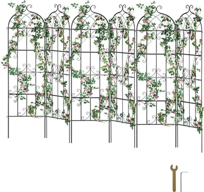 Immagine prodotto di set di 6 tralicci di sostegno per piante rampicanti - Traliccio di sostegno per piante rampicanti 51x180cm - Ideale per il giardino e il terrazzo - Supporto per piante rampicanti